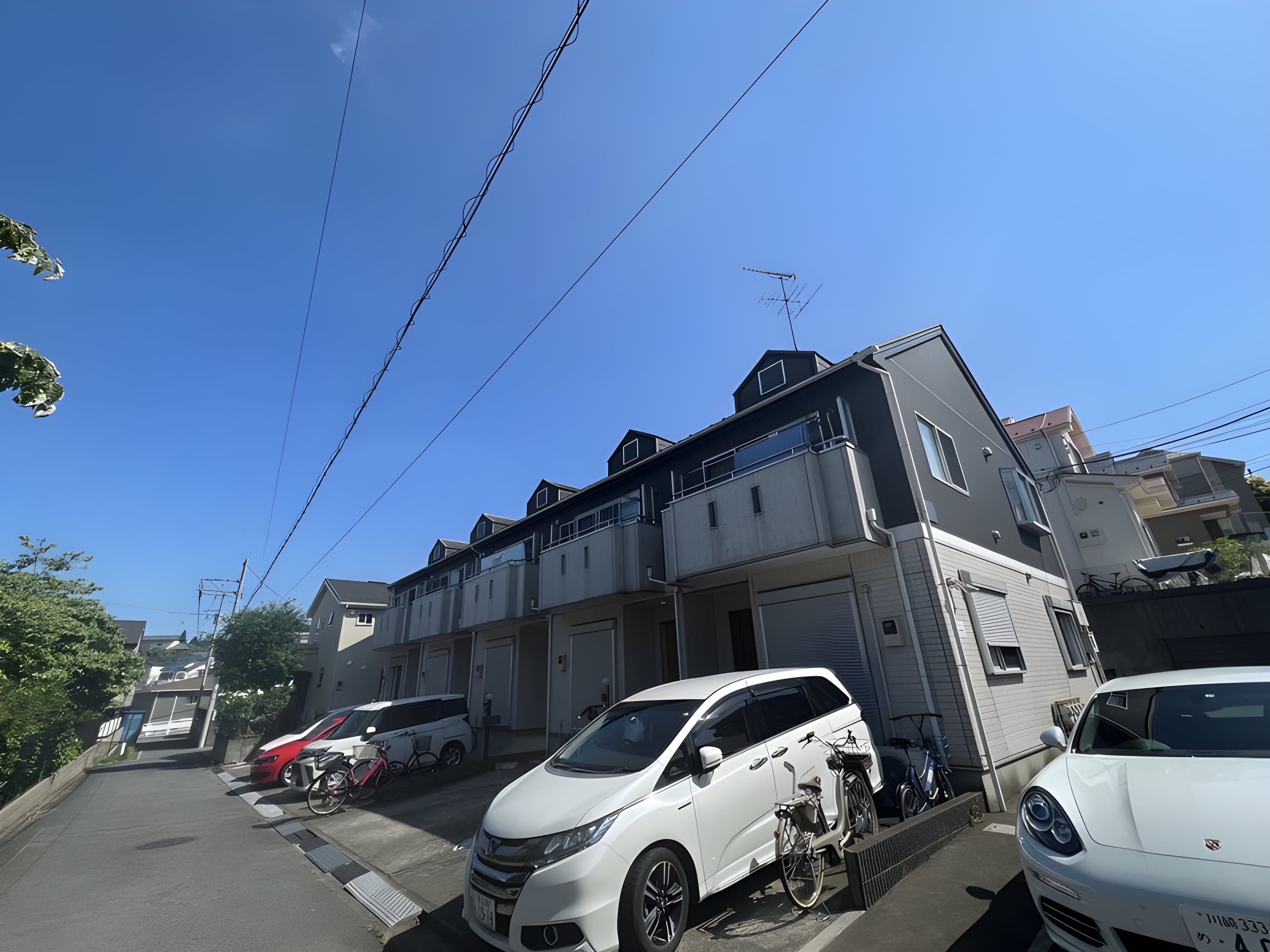 ロータス D