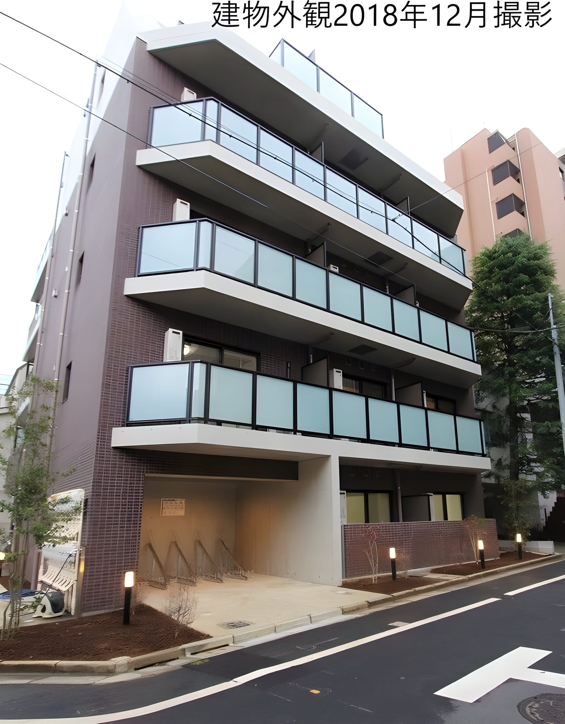 FIORE KOMAGOME 601