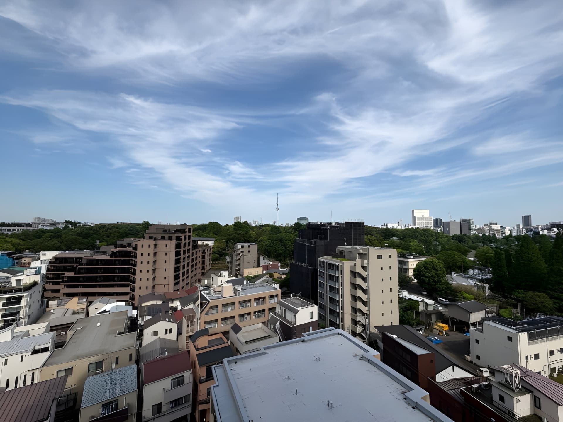 ザ・ライオンズ上野の森 1008