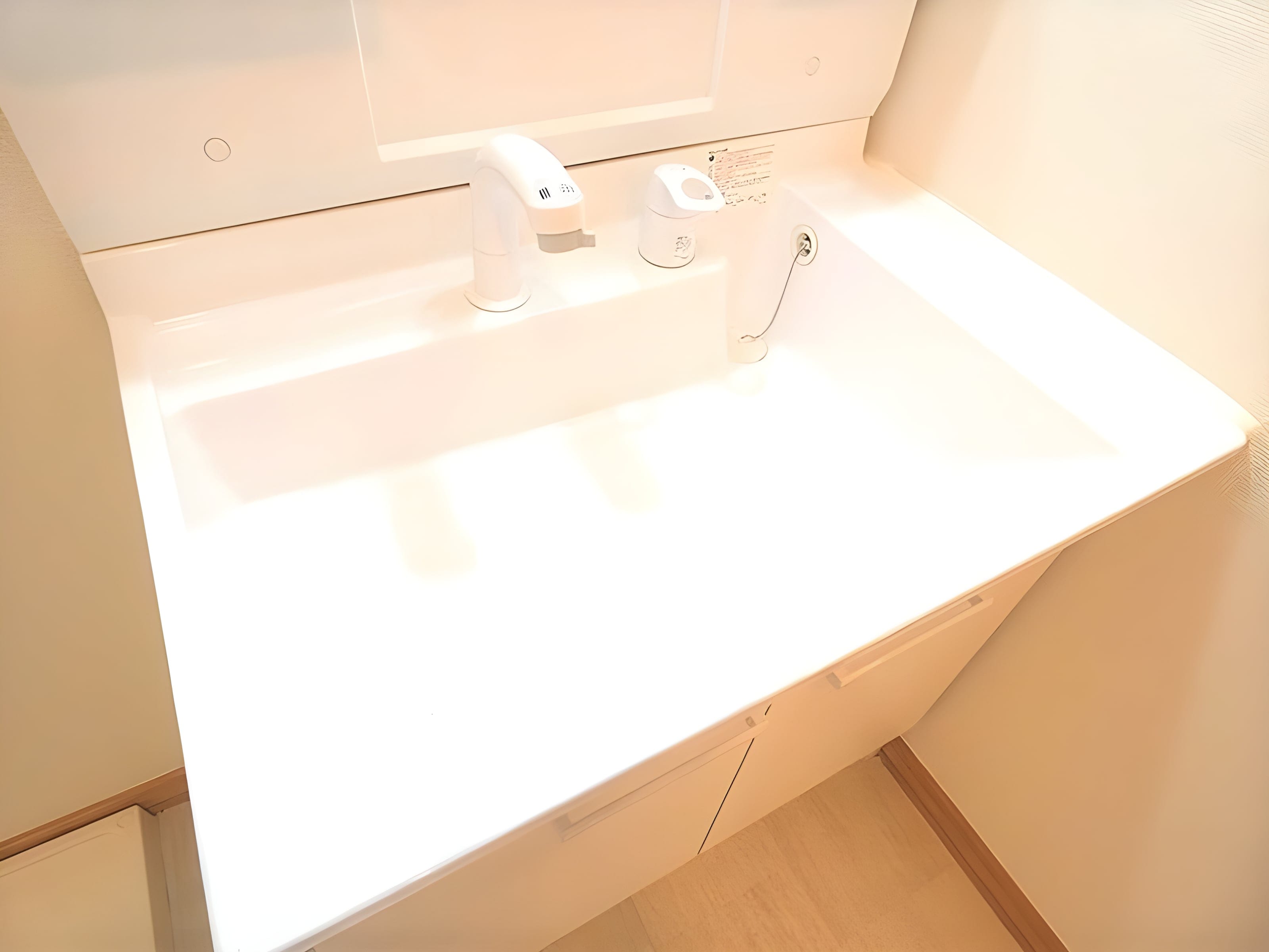 安行領根岸戸建 201