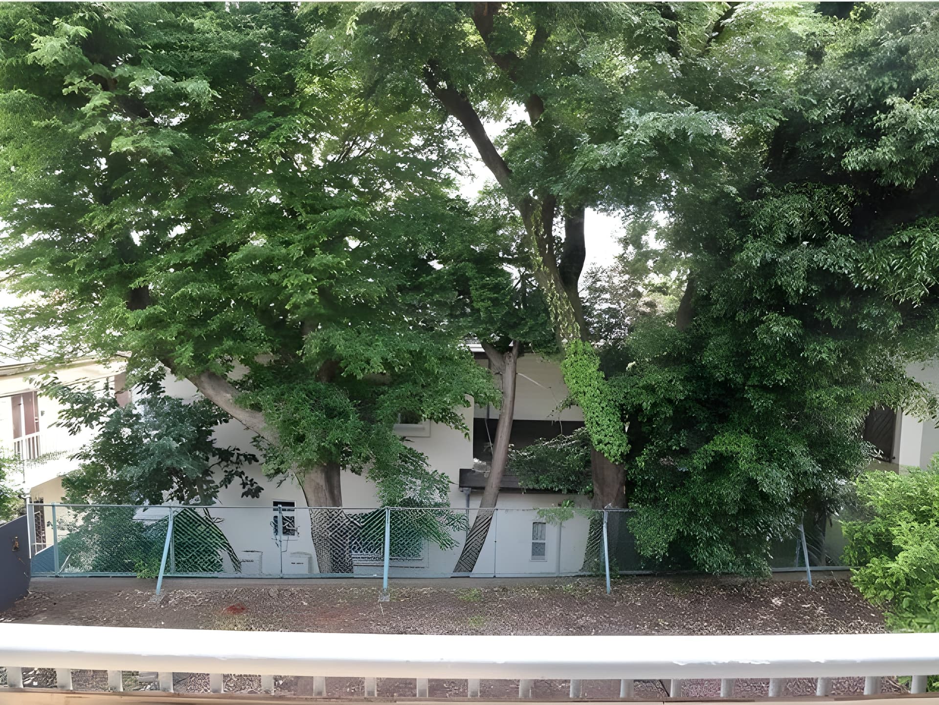 代沢3丁目戸建 1