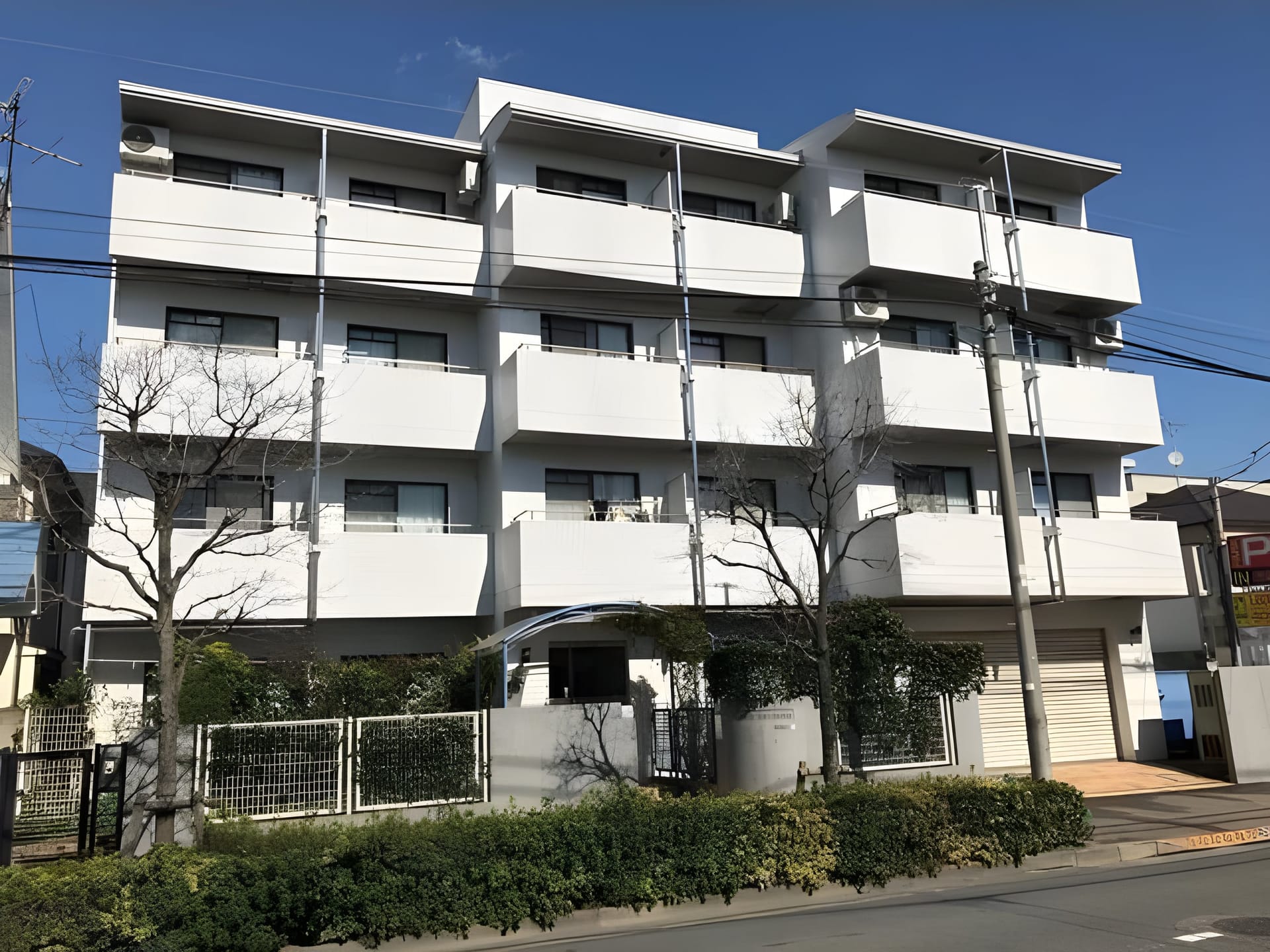 ホワイトガーデニア 201