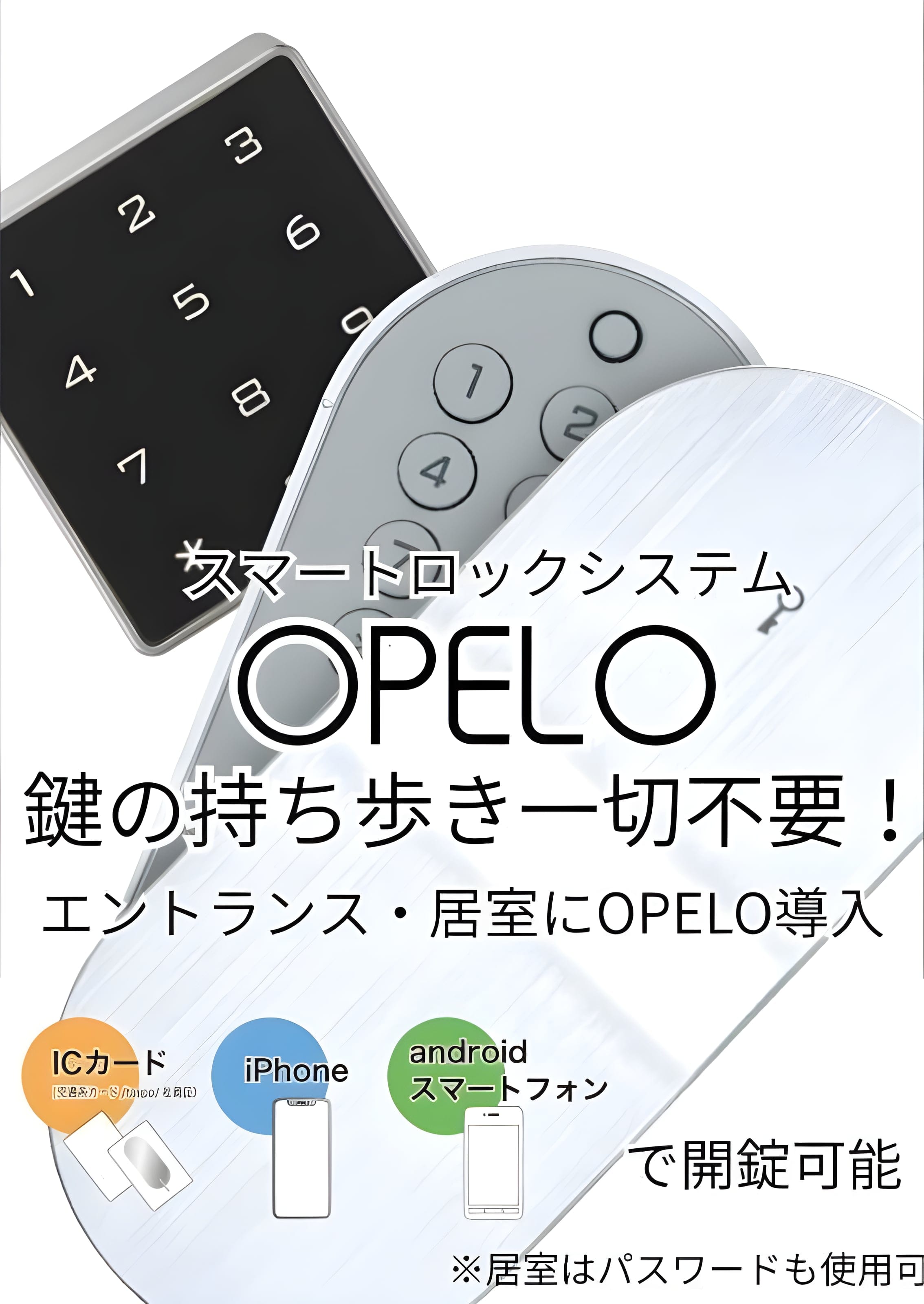 OP-TION YAYOICHO 502