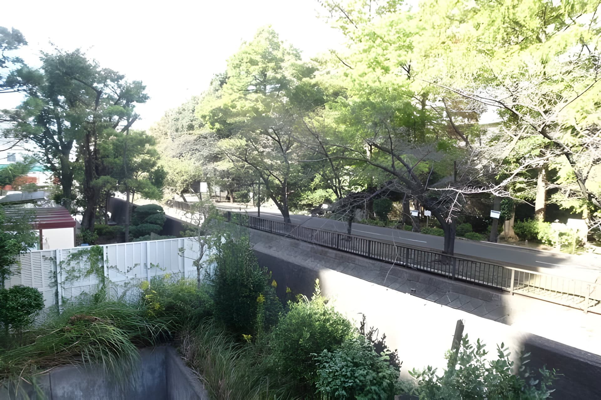 T’s garden東陽町 205