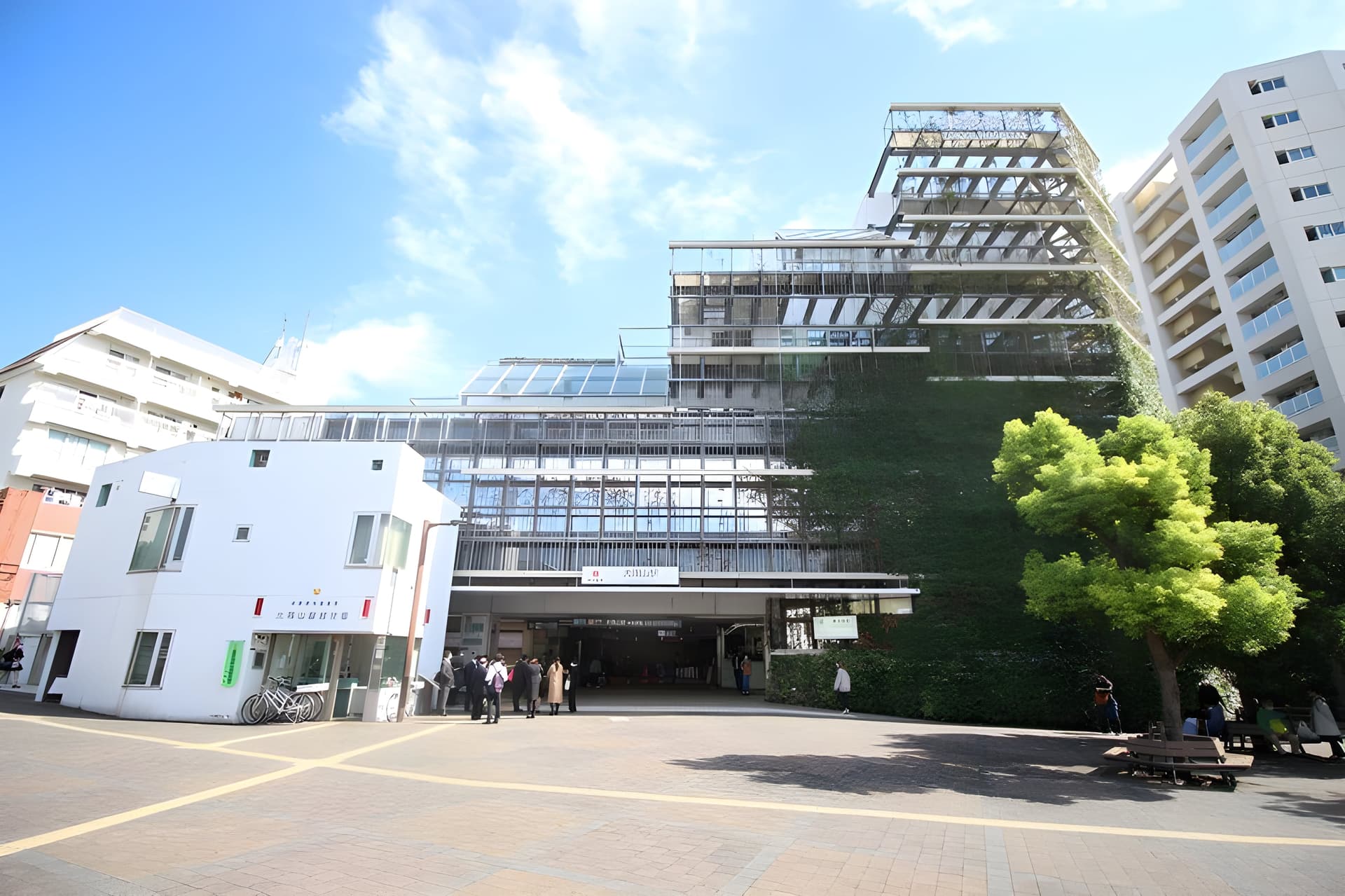 ザ・ライオンズ大岡山 202