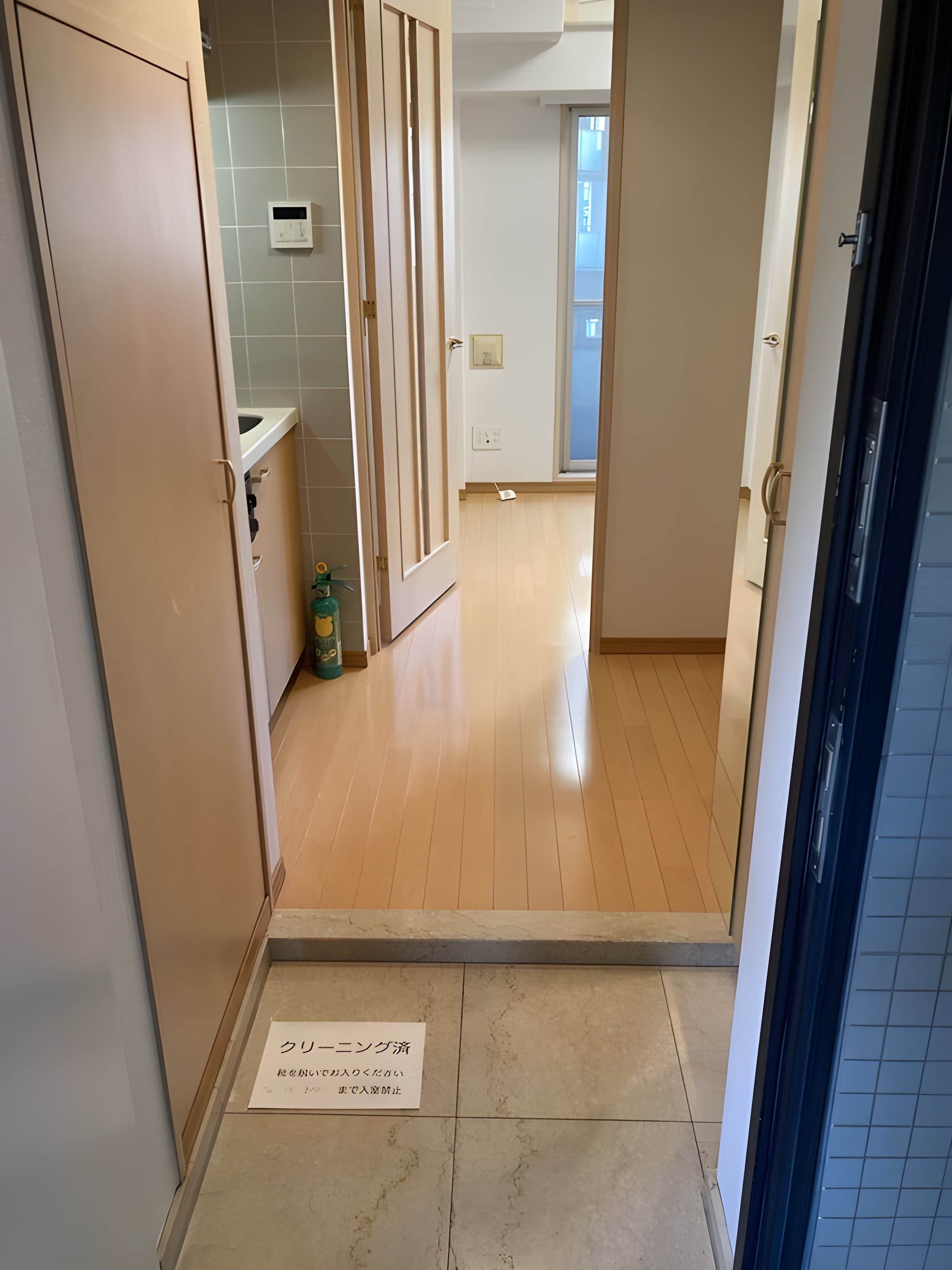 エクセリア大山 301