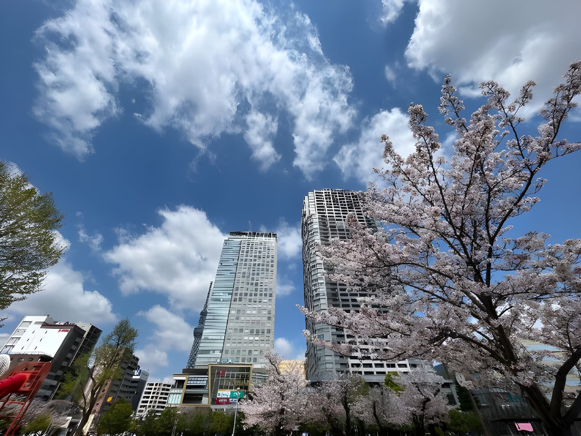 KoHa錦糸町 301