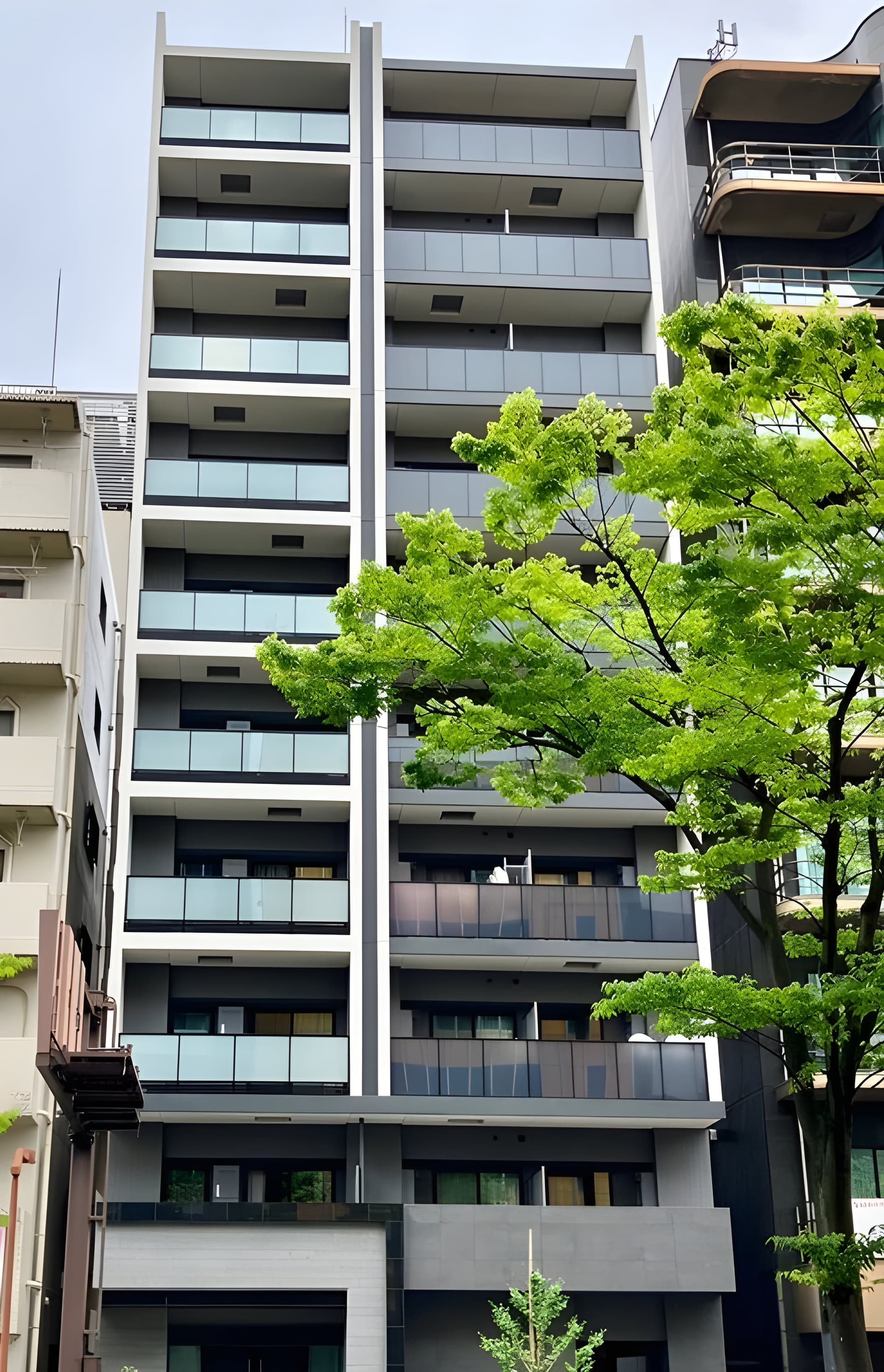 プレシャス川崎ブリシアコート 803