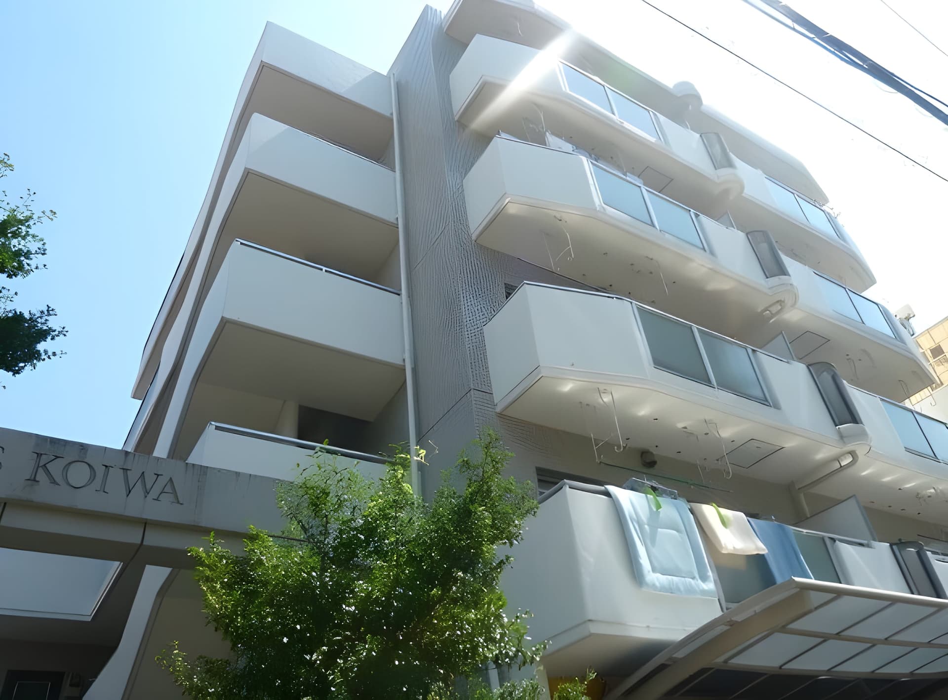 フォークス小岩 501