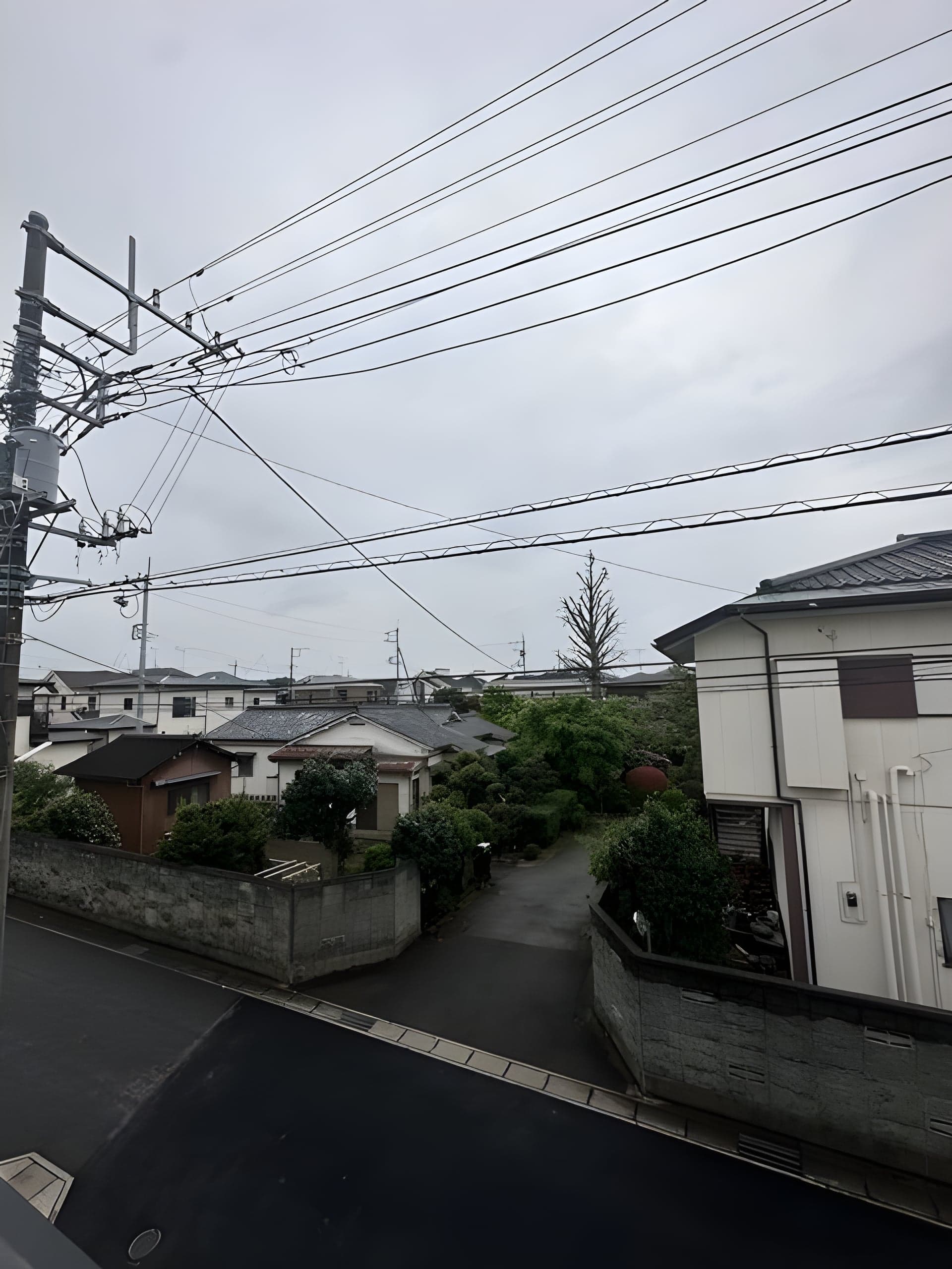 Kolet柏弥生町#05 17万円/入力なし/なし