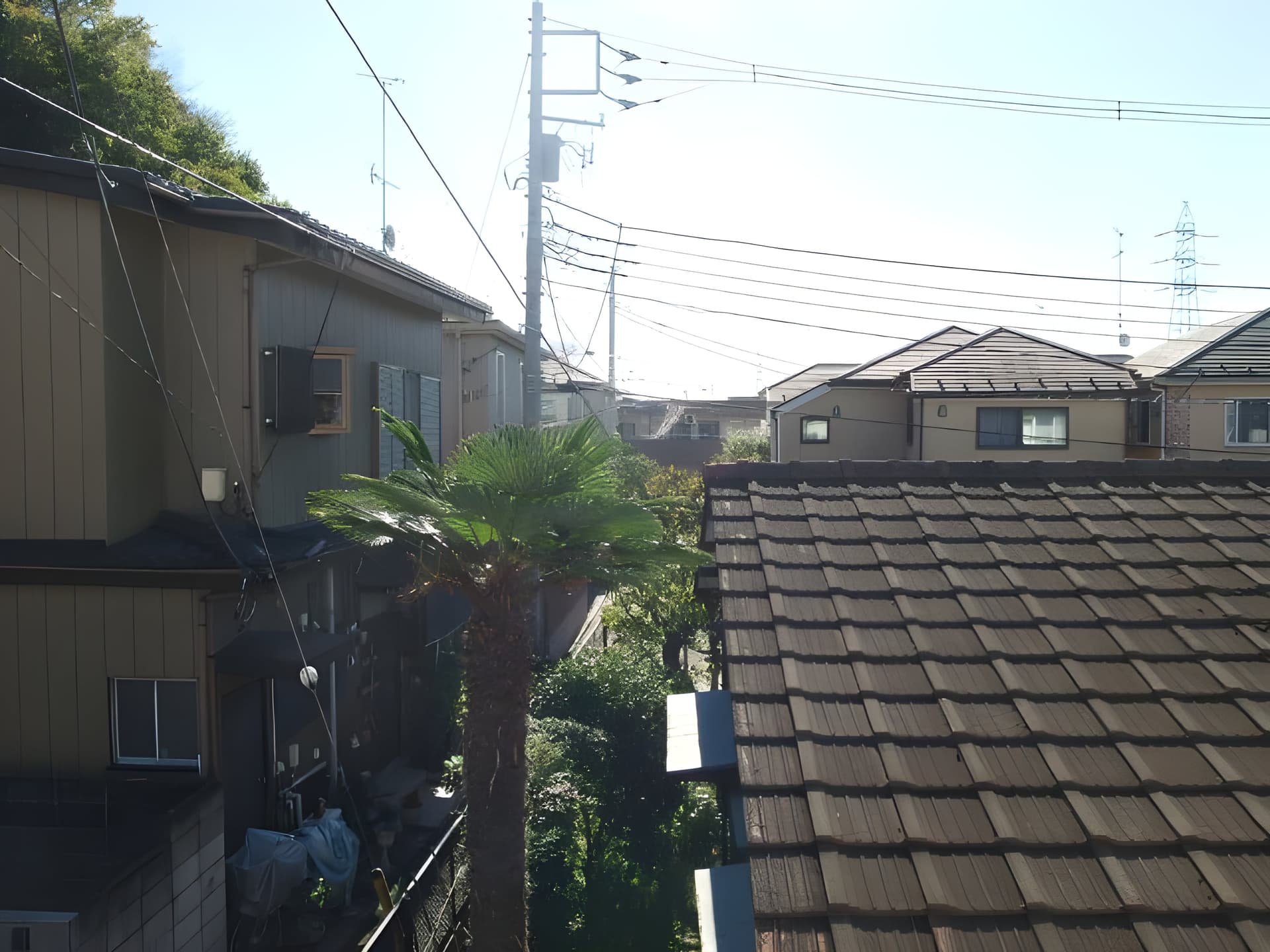 パールハイツ日吉 202