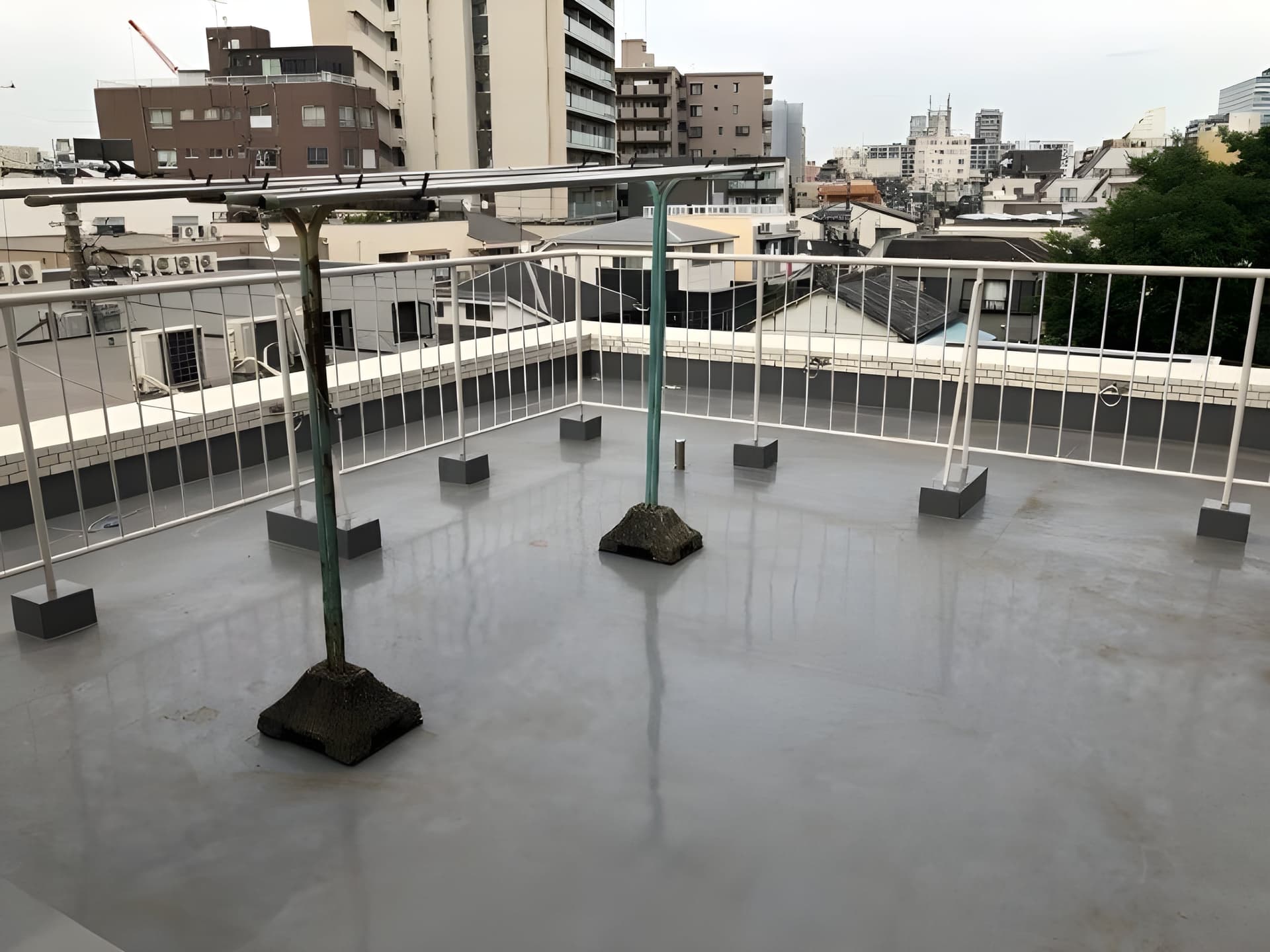 プリザントセキネ 102