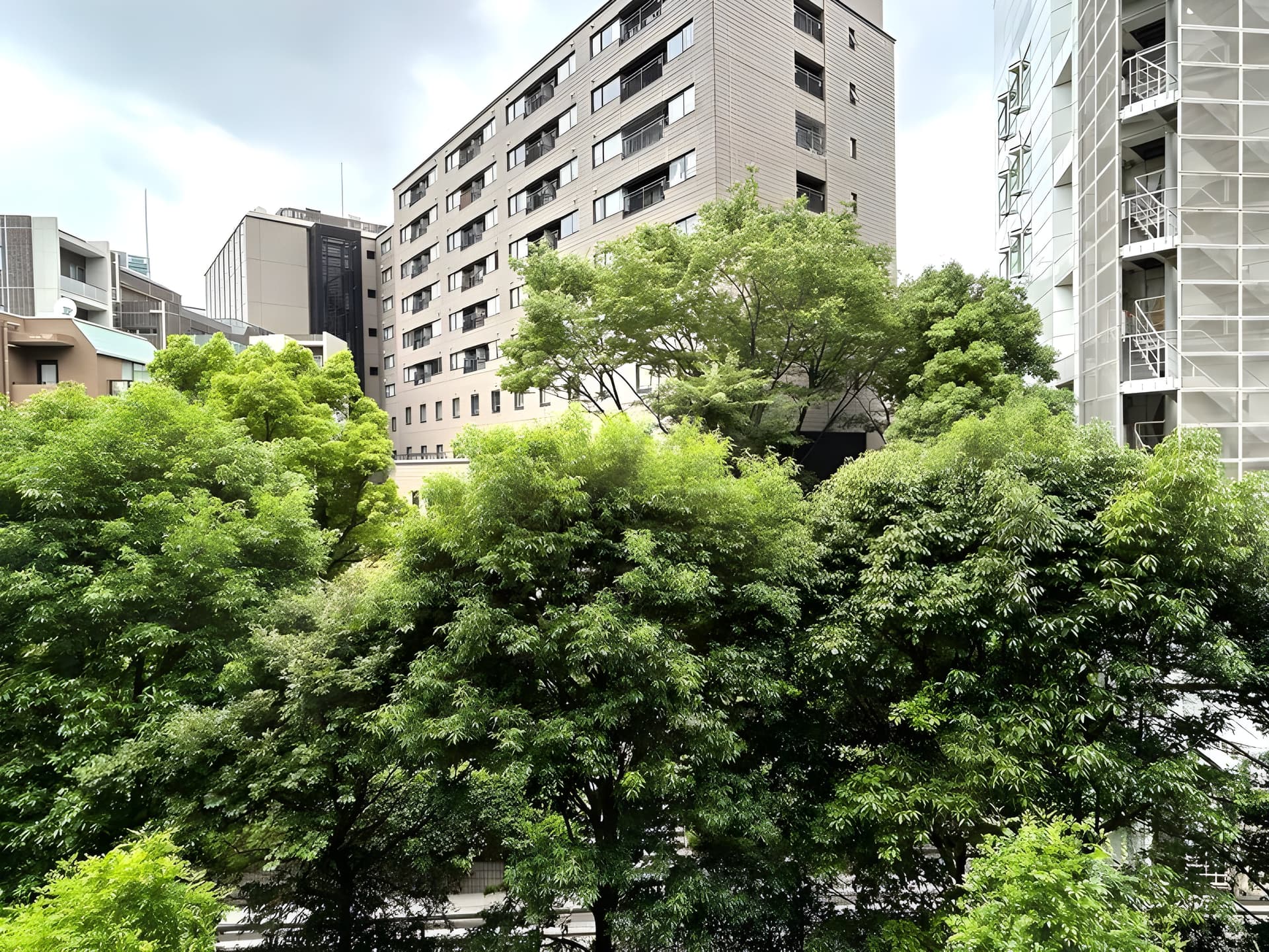 南青山テラス常盤松フォレストC棟 415
