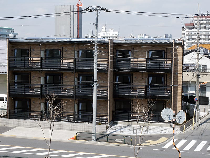 レオネクスト和の写真