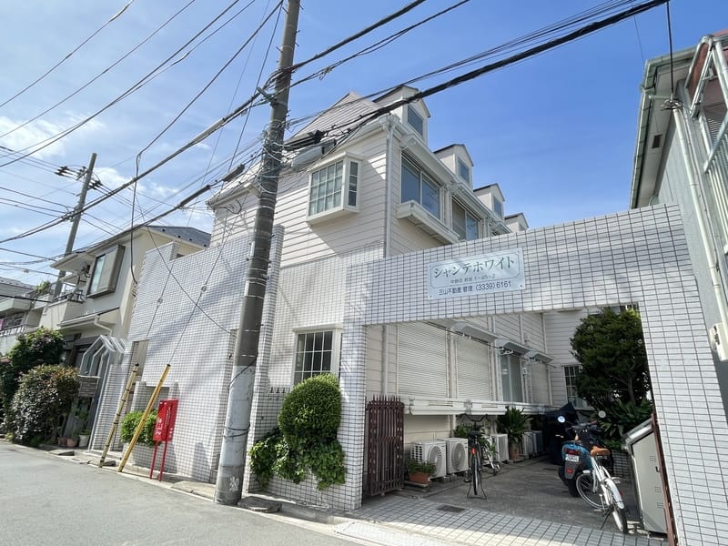 シャンテホワイトの写真