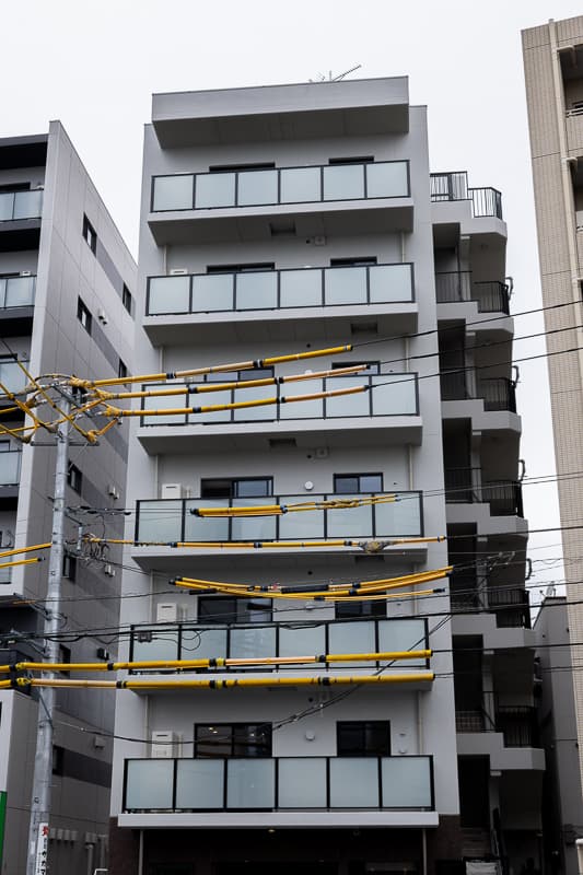 グレースティリアの写真