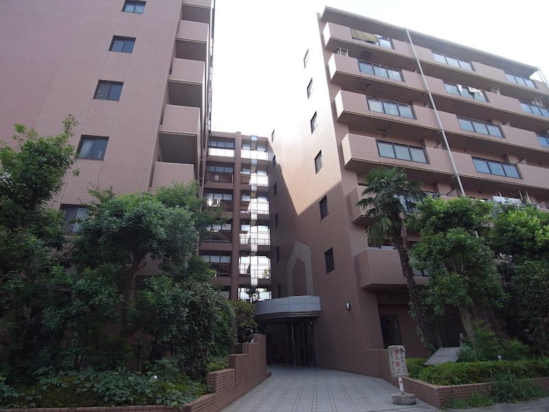 セラビーヌーベルの写真