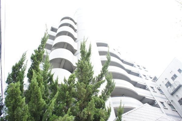 グランディオスTNの写真