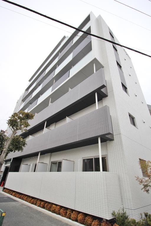 Toile blancheの写真