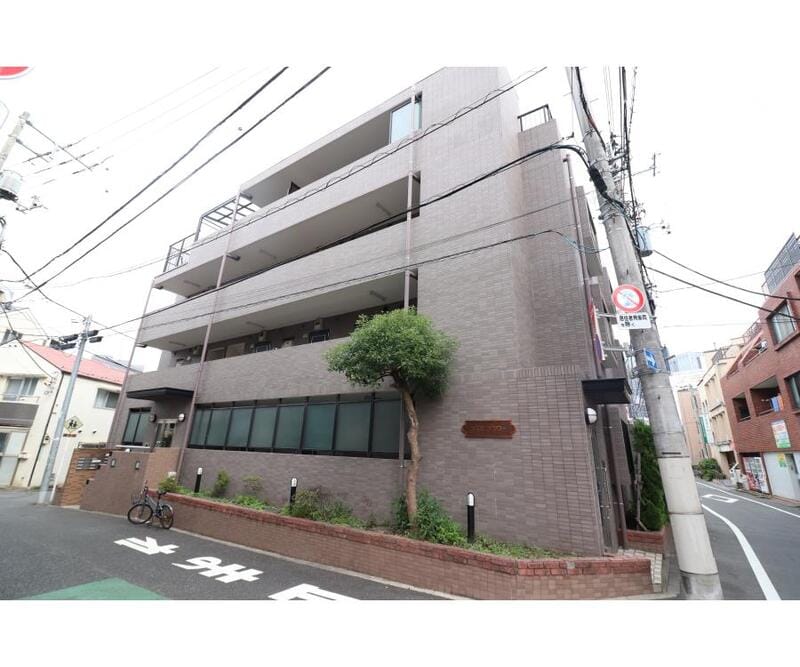 コスモフラワーの写真