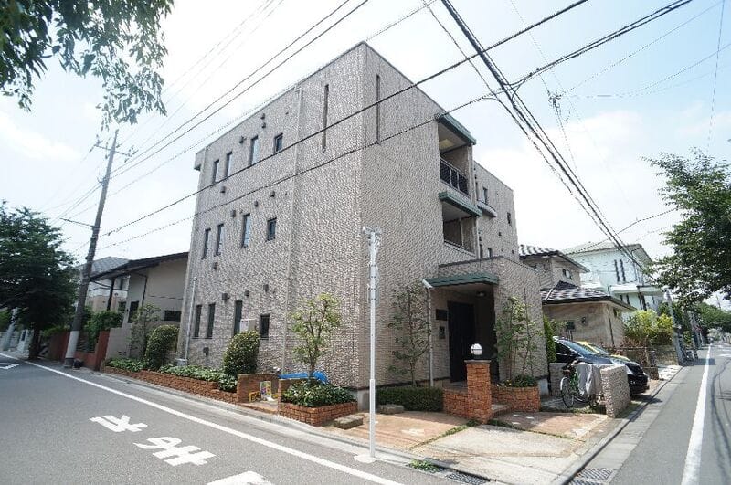 ハイネスらんの写真