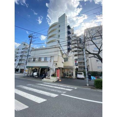 チェリーブロッサムの写真