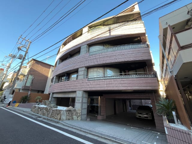 白山ミノールの写真