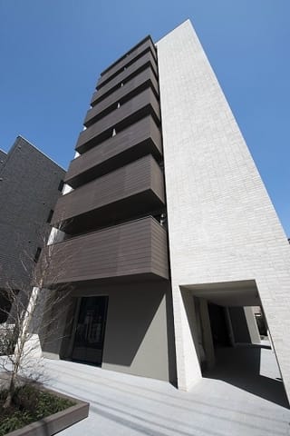 アドニスの写真