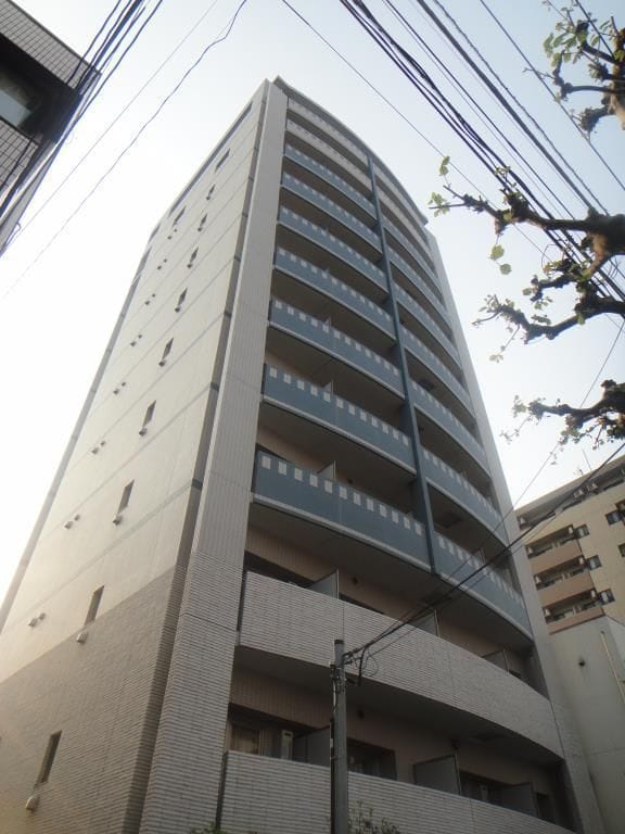 ニューボンデージの写真