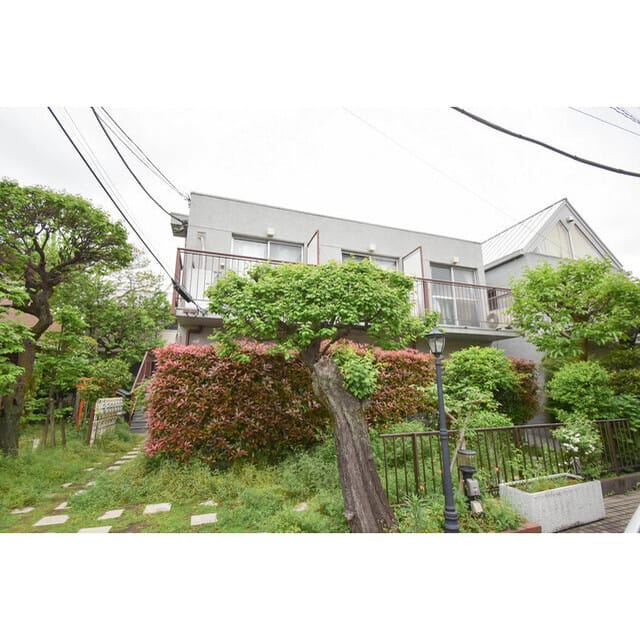 フライハイトの写真