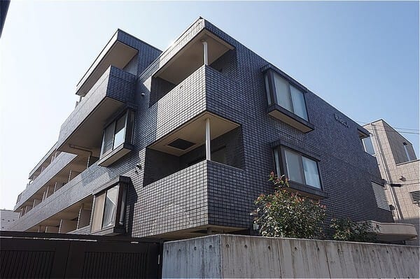 レディースHAYASHIの写真