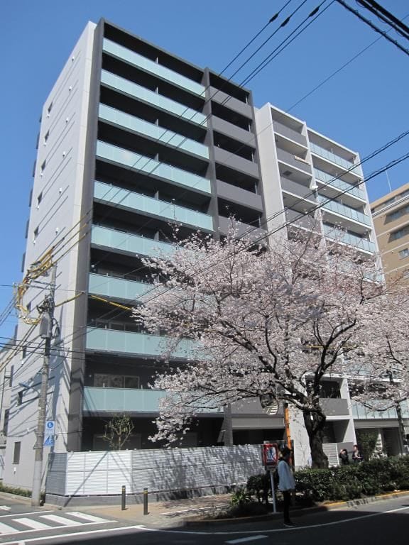 フルール・ラ・メールの写真