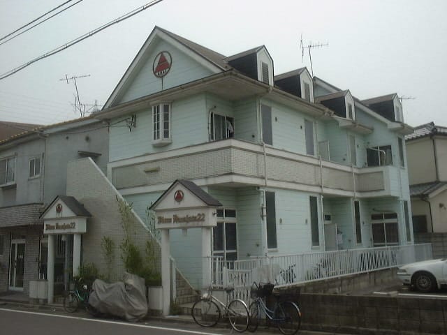 ブルーメ花畑22の写真