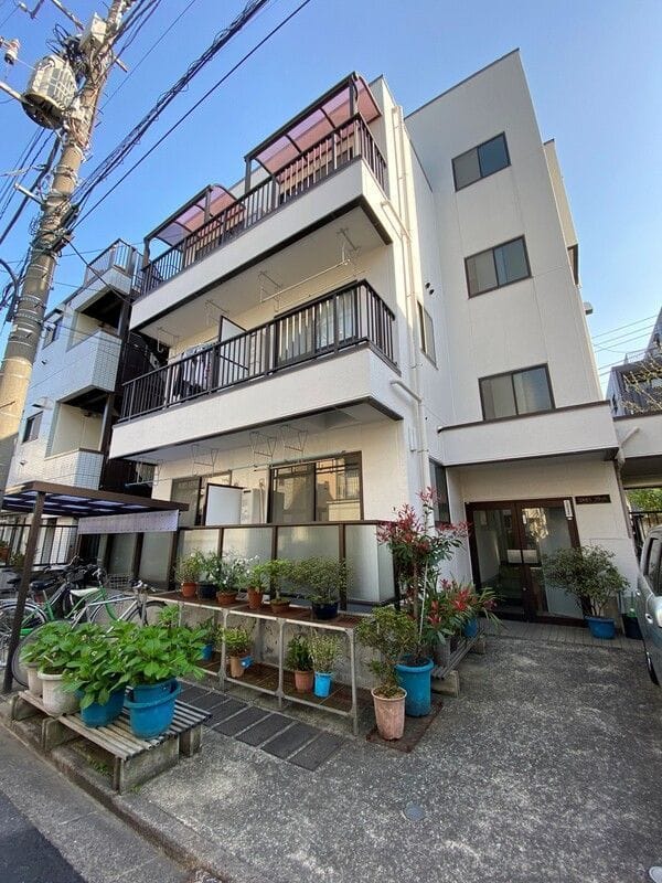 コスモスフラットの写真