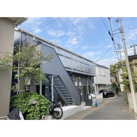 サルビアの写真