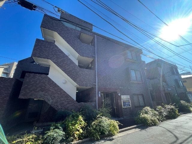 レグルスの写真