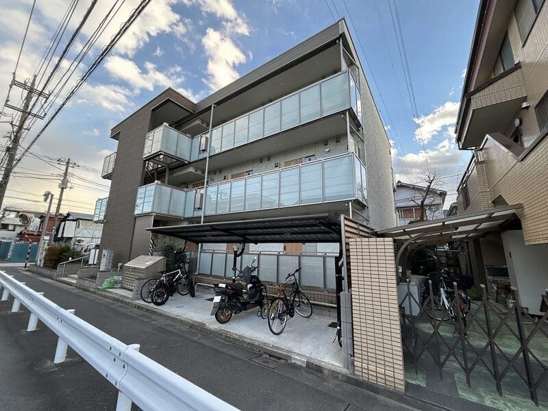 ミランダエレガンスの写真