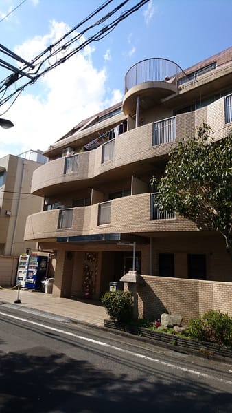 ランピオンイゴーの写真