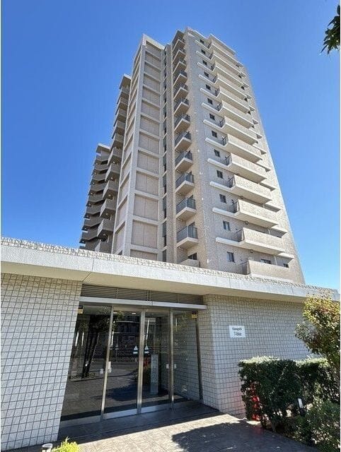 川口ティーブルーの写真