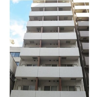 ガリシア大森の写真