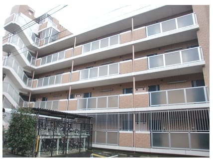 マーサ池上の写真