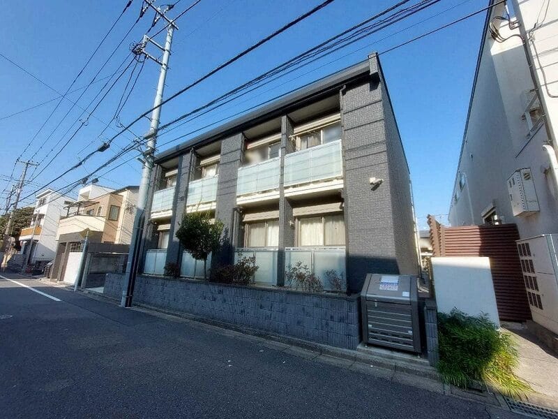 レオネクストシェソワの写真