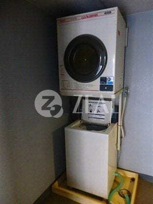 ブリッジシーダの写真