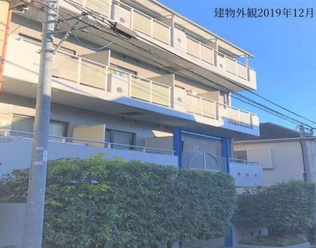 ほうれんそうの写真