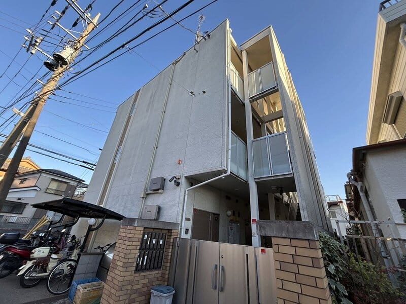 レオネクストクリサンスの写真