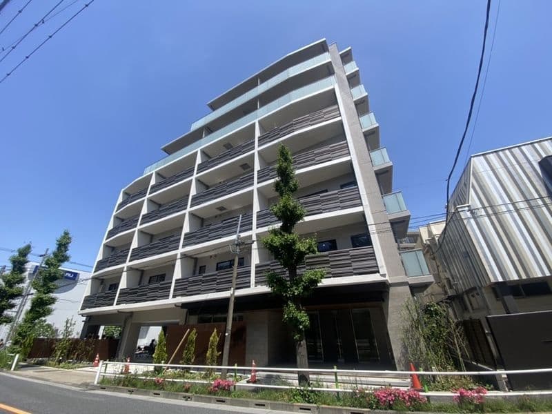 レスピール蓮根の写真