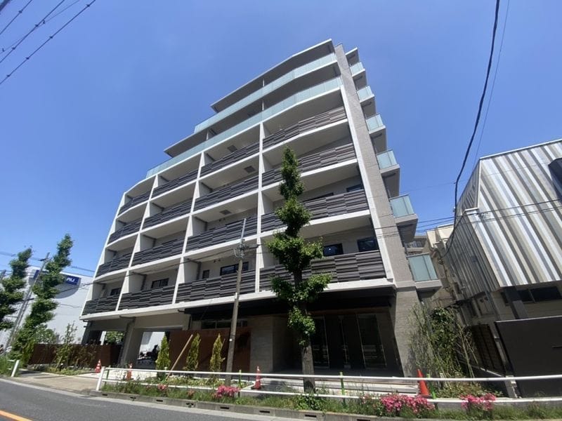 レスピール蓮根の写真