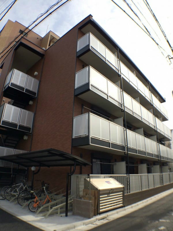 レオネクストルフェリの写真