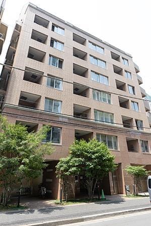 パトリス26の写真