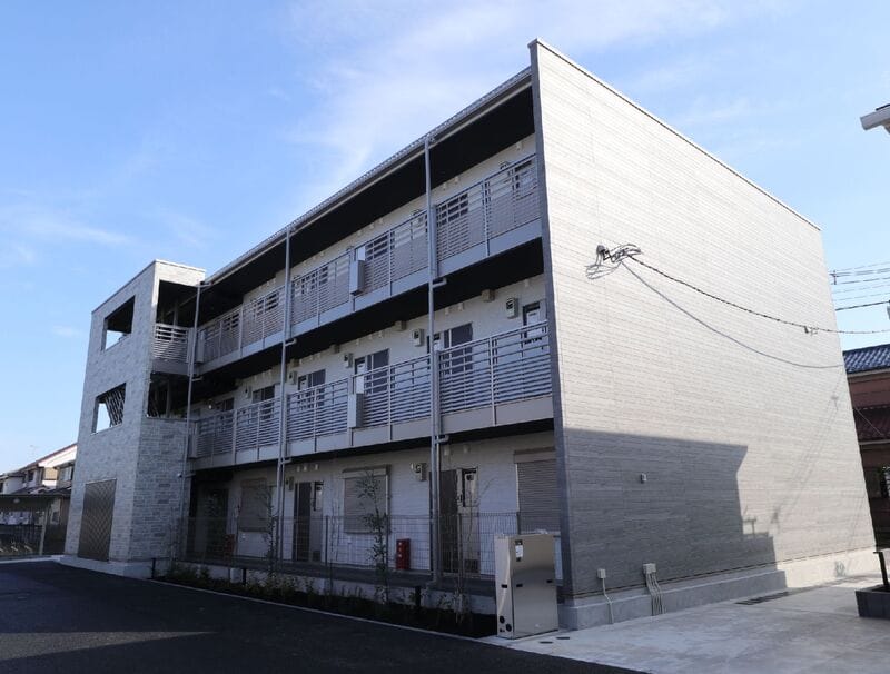 マーガレットの写真